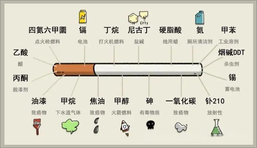 香烟中的有害物质.png