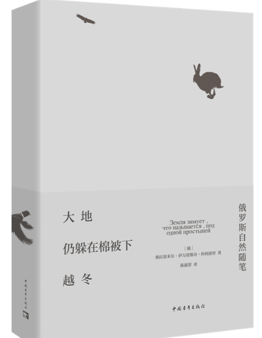 图片 11