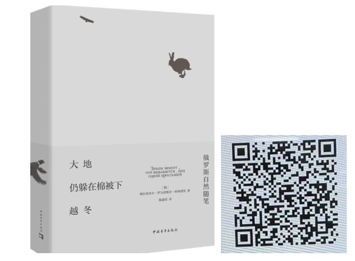 图片 5