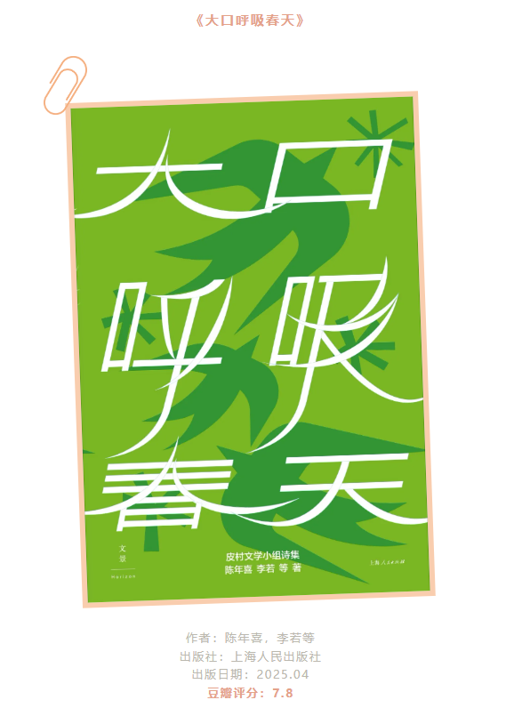 图片 13